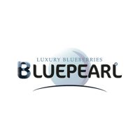 BLUEPEARL-LUXURY-400X400