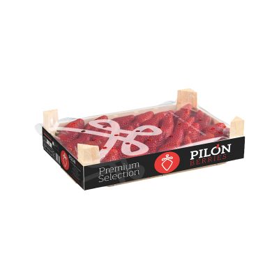 PILON-BERRIES